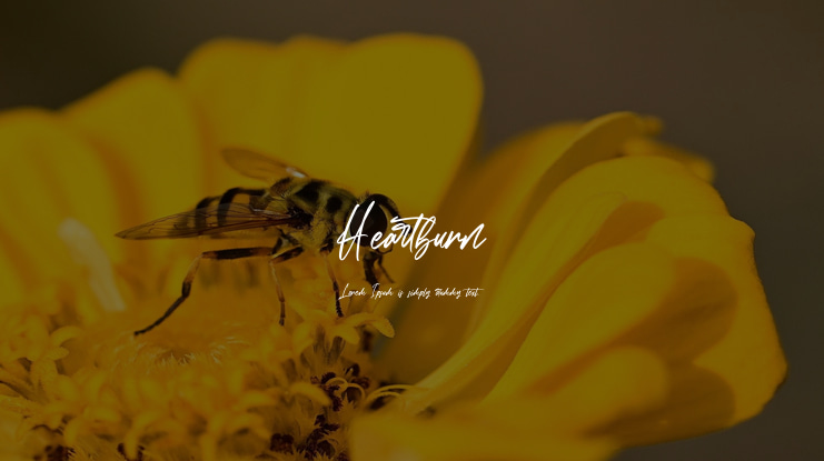 Heartburn Font