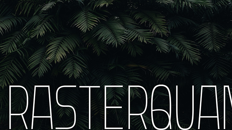 Rasterquan Font Family