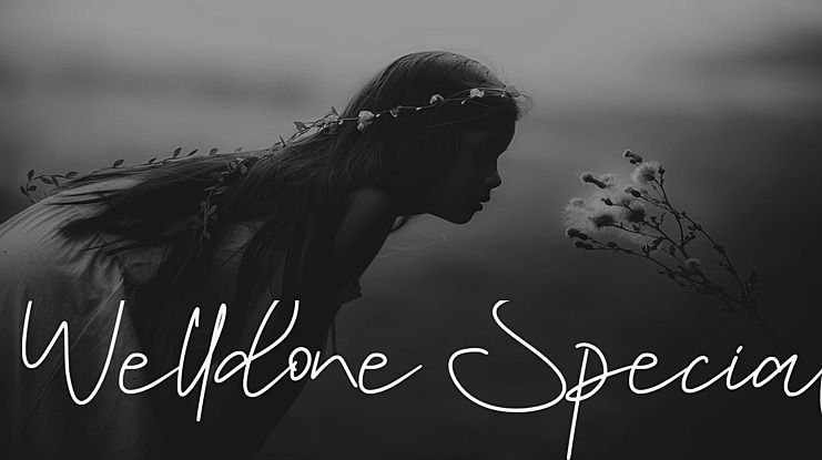 Welldone Special Font Family