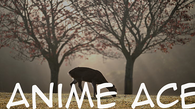 Anime Ace Font Family