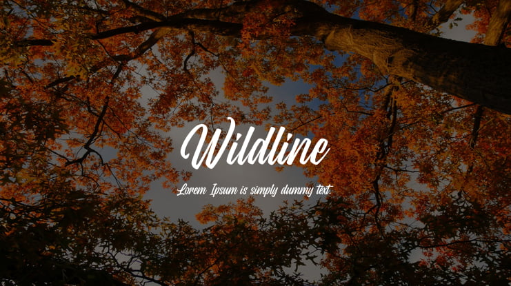 Wildline Font