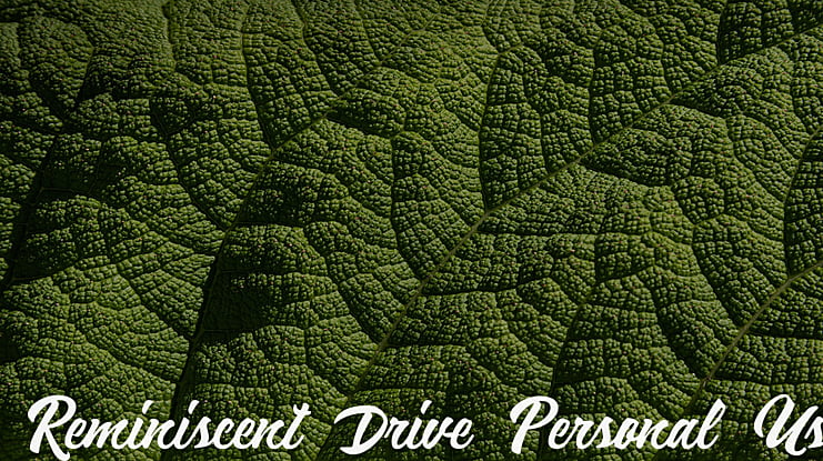 Reminiscent Drive Personal Use Font