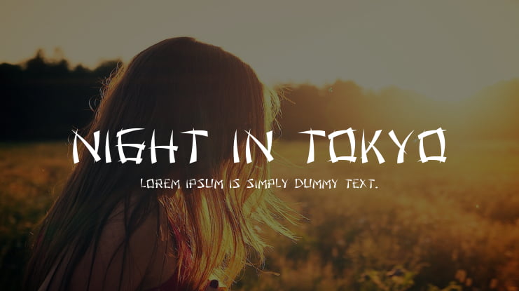Night in Tokyo Font Family
