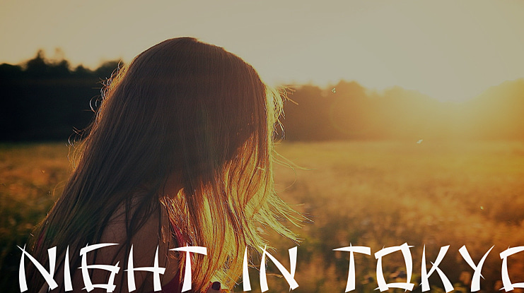 Night in Tokyo Font Family