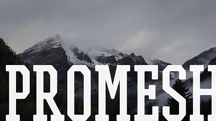 PROMESH Font Family