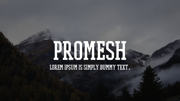 PROMESH Font Family
