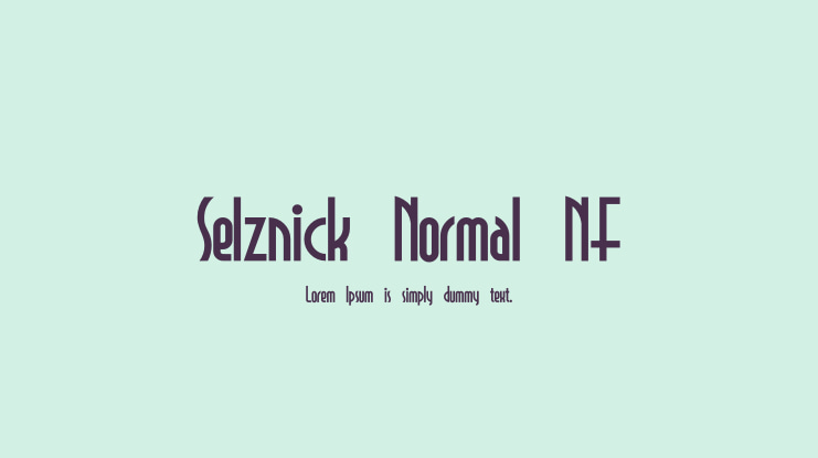 Selznick Normal NF Font Family
