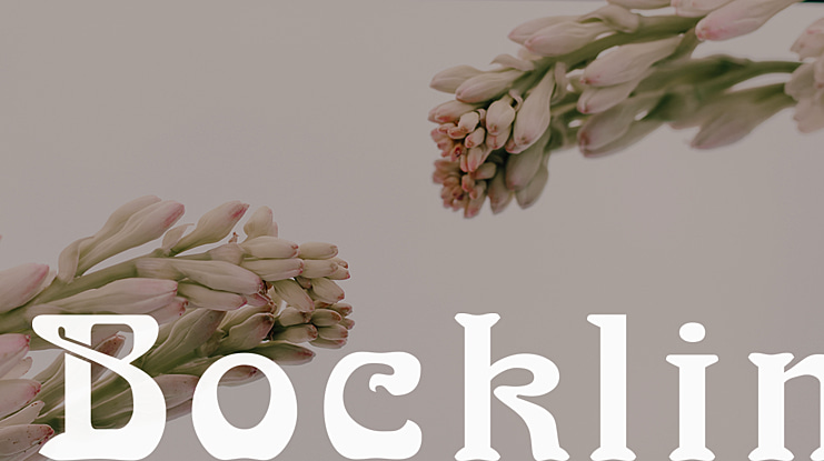 Bocklin Font