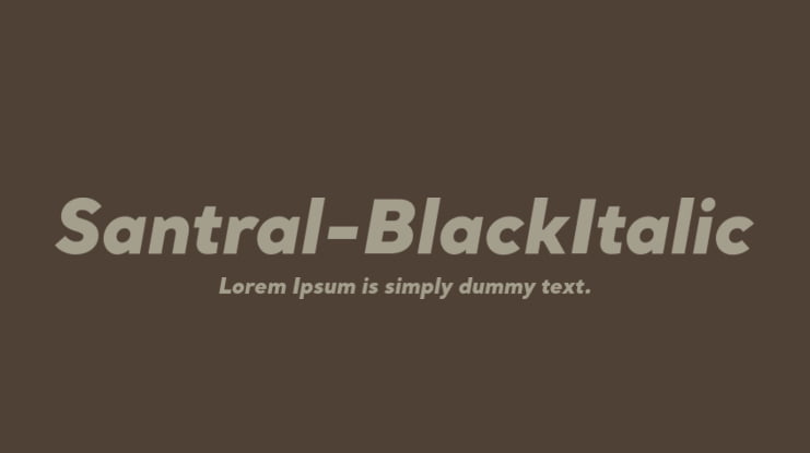 Santral-BlackItalic Font Family