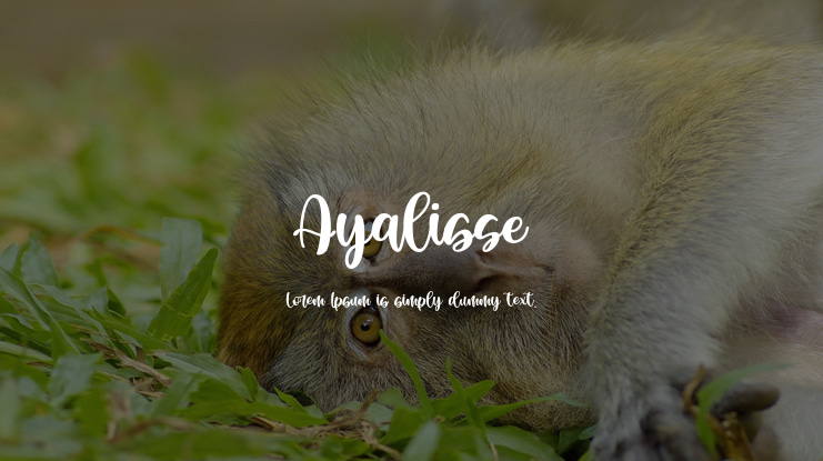 Ayalisse Font