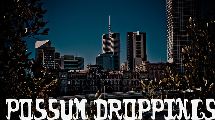 Possum Droppings Font