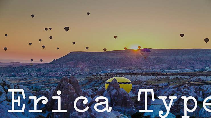 Erica Type Font Family