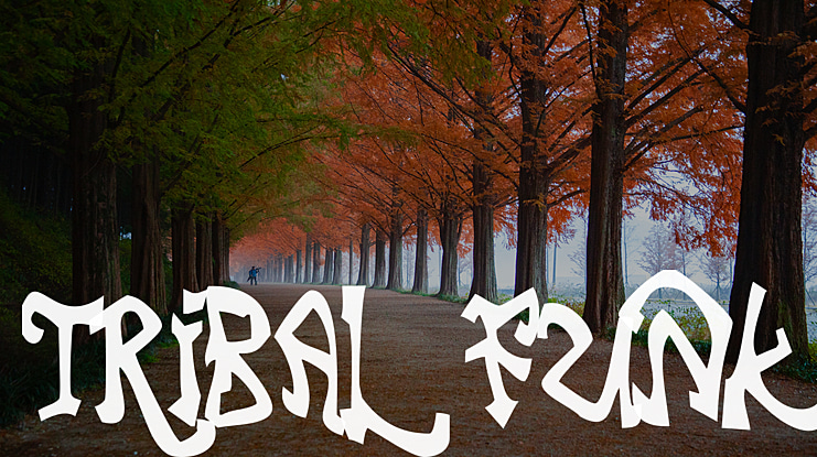 Tribal Funk Font