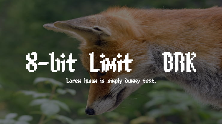 8-bit Limit (BRK) Font Family