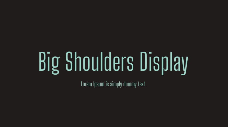 Big Shoulders Display Font Family