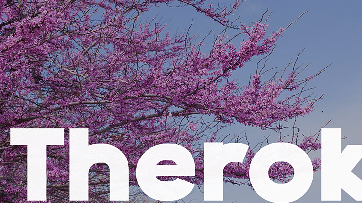 Therok Font Family