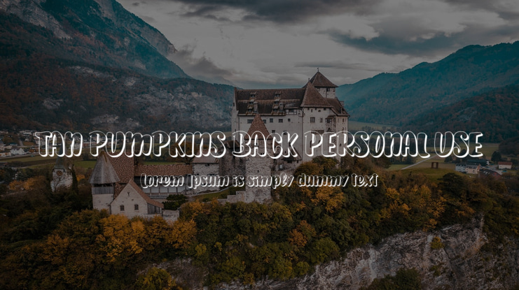 TAN PUMPKINS BACK PERSONAL USE Font Family
