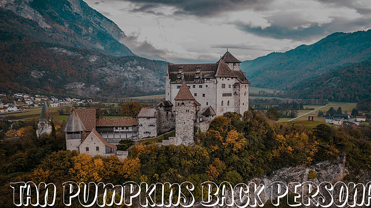 TAN PUMPKINS BACK PERSONAL USE Font Family