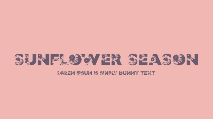 SUNFLOWER SEASON Font