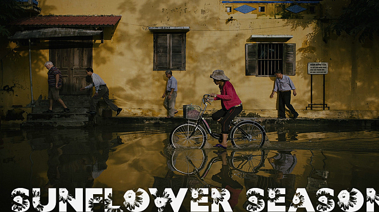 SUNFLOWER SEASON Font