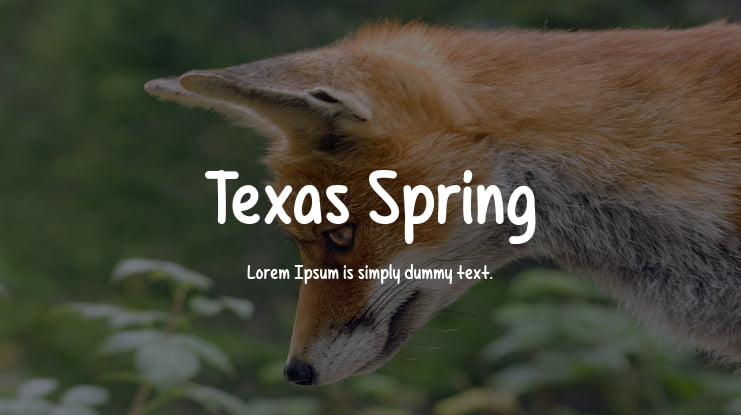 Texas Spring Font