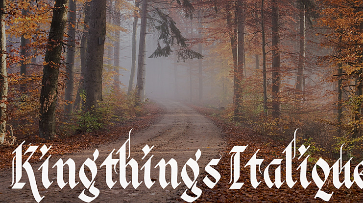 Kingthings Italique Font
