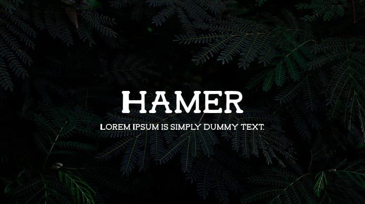 Hamer Font
