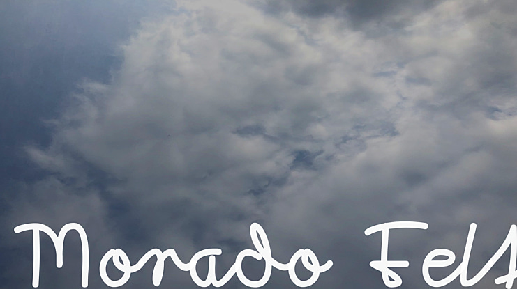 Morado Felt Font Family