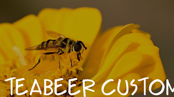 Teabeer Custom Font Family