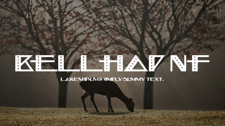 Bellhop NF Font