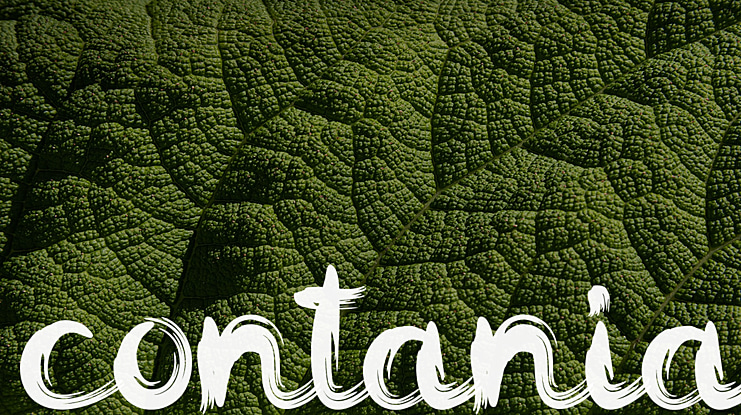contania Font Family