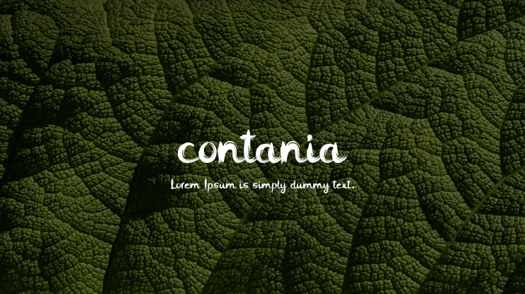 contania Font Family