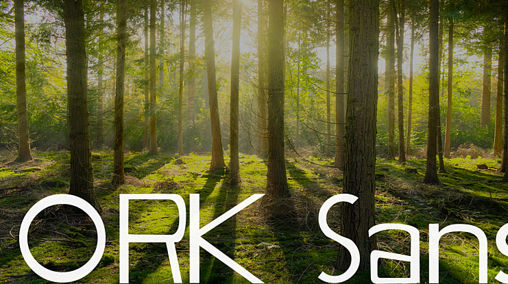 ORK Sans Font Family