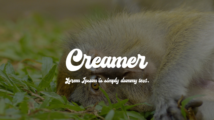 Creamer Font