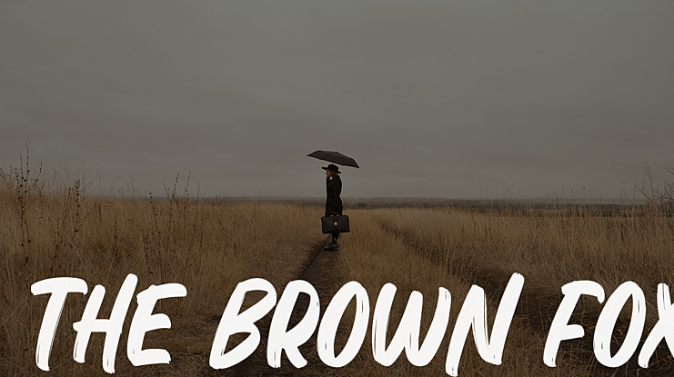 The Brown Fox Font