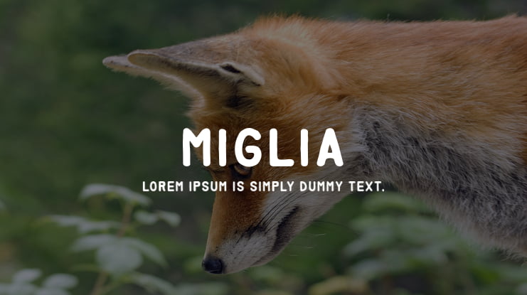 miglia Font Family