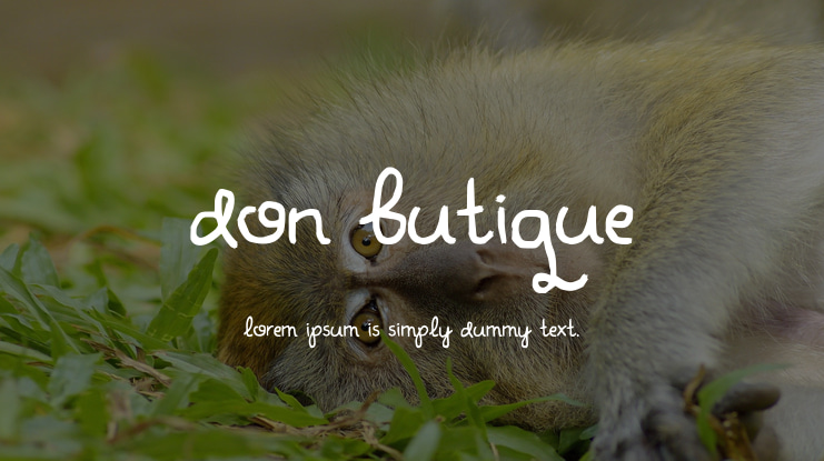 Don Butique Font