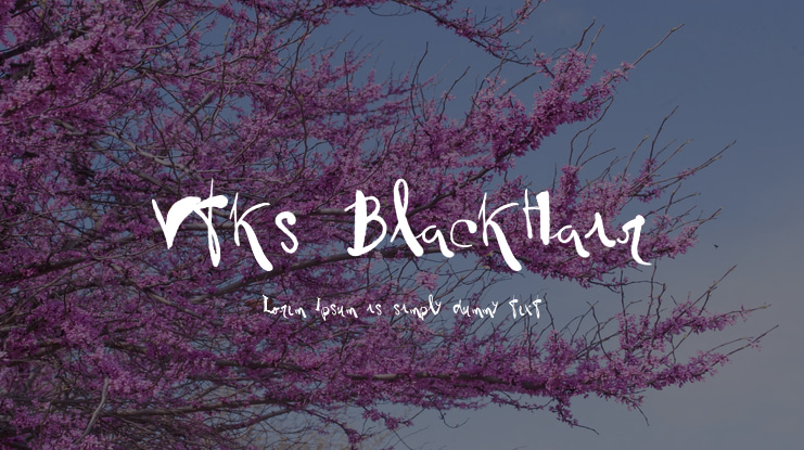 Vtks BlackHair Font