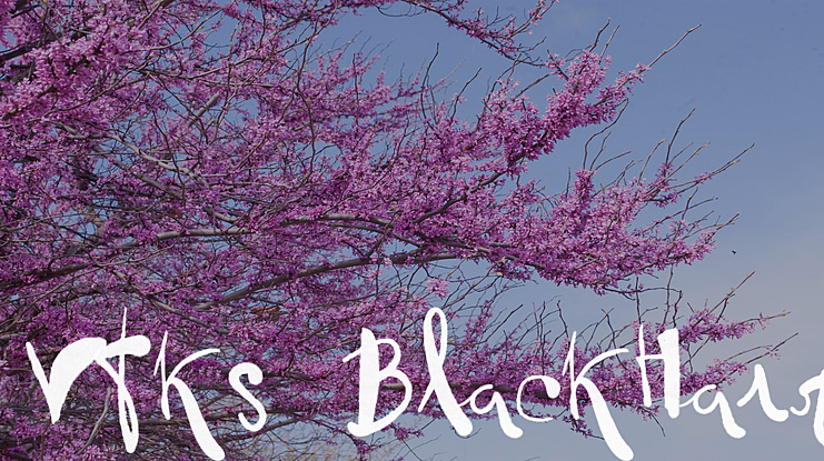 Vtks BlackHair Font