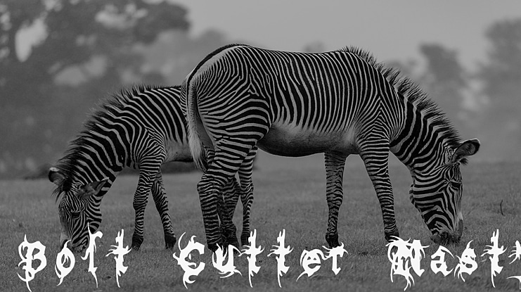 Bolt Cutter Nasty Font