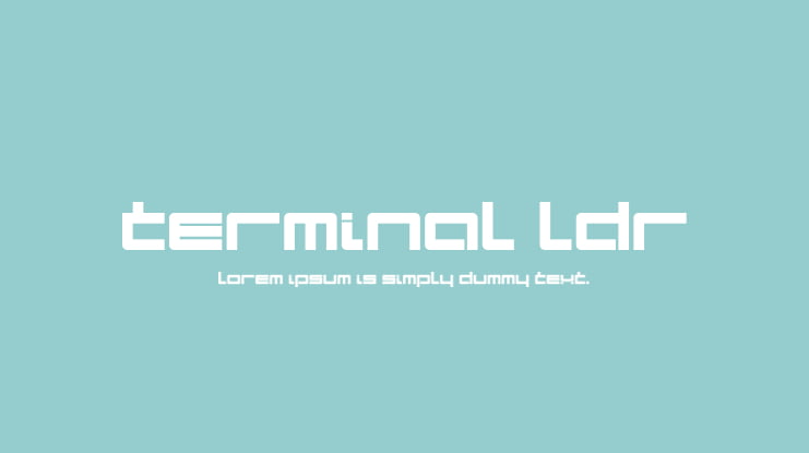 Terminal LDR Font