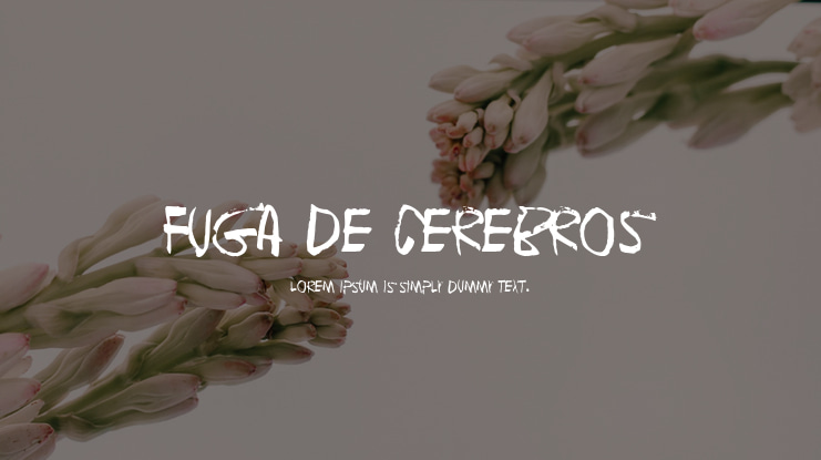 Fuga de cerebros Font