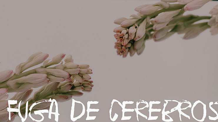 Fuga de cerebros Font