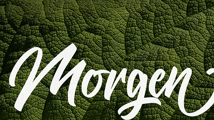 Morgen Font