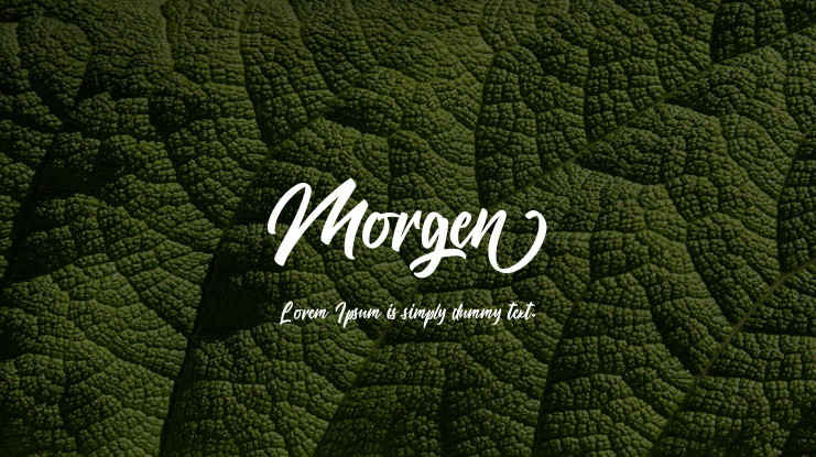 Morgen Font