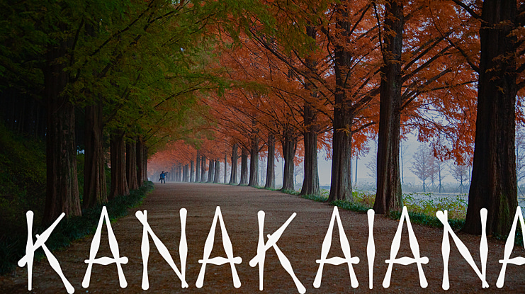 KanaKaiana Font Family