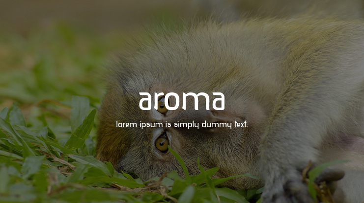 Aroma Font