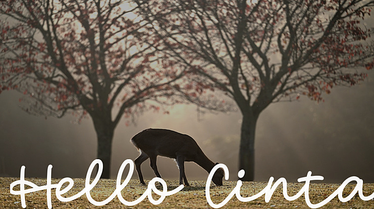 Hello Cinta Font