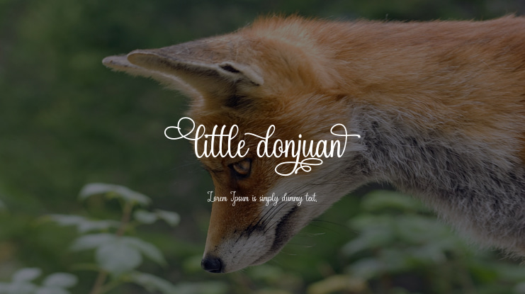 littledonjuan Font