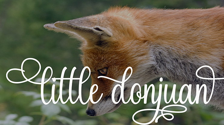 littledonjuan Font